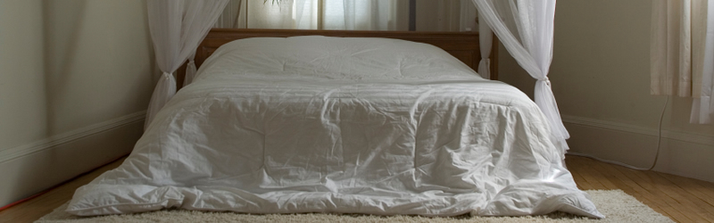 Micro Seal Of Carson Tahoe - Permanent Stain and Sun Fade Fabric Protection